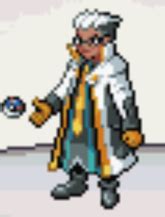 pokemon unbound gem|Gym Leader .